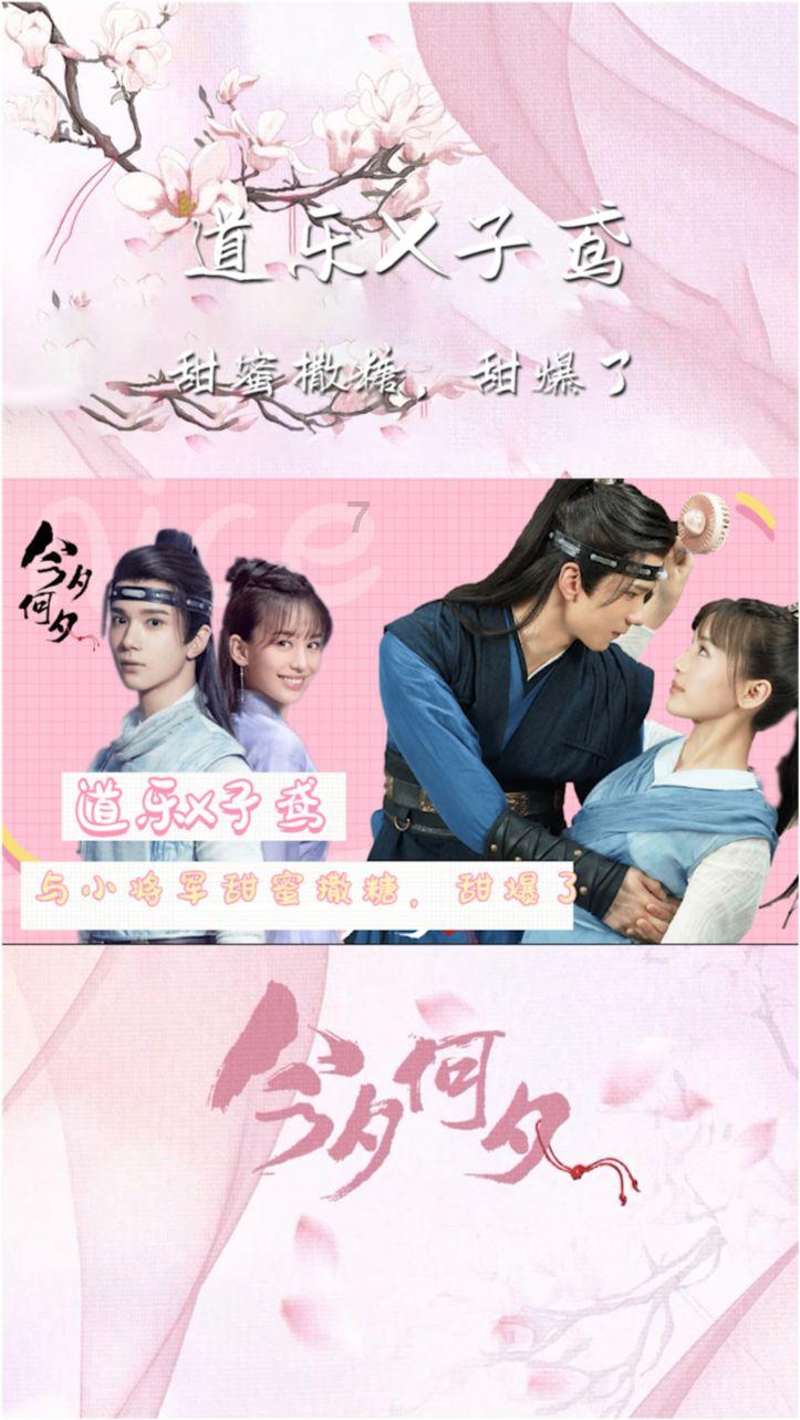 月季索菲罗莎优缺点游戏画面